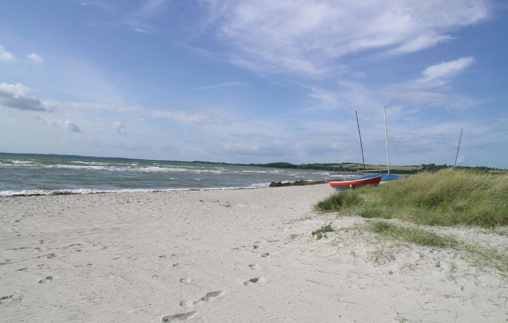 Feriehuse - Tengslemark Lyng , Danmark - E18744 34