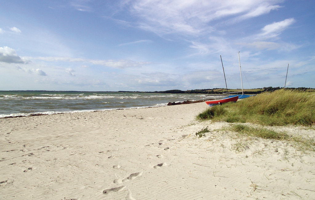 Feriehuse - Tengslemark Lyng , Danmark - E18775 8
