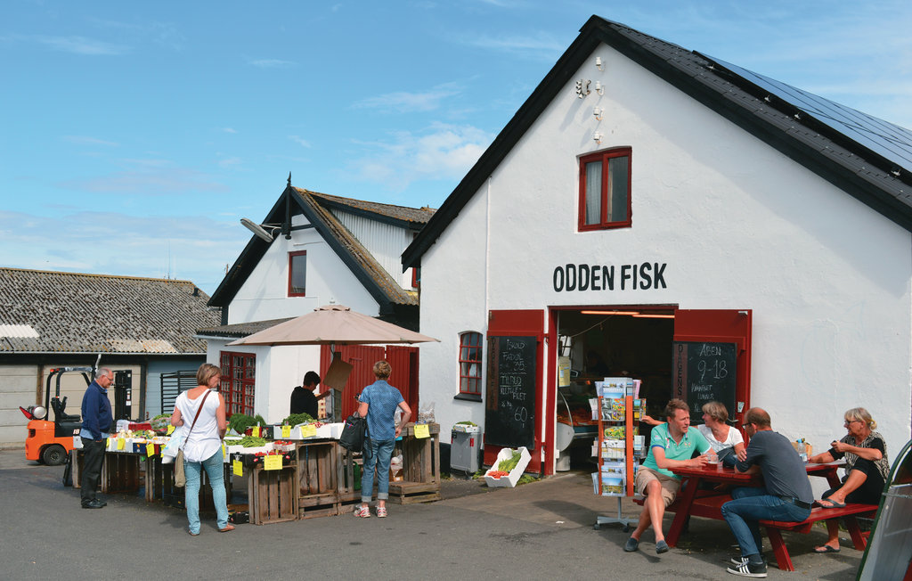 Feriehuse - Overby Lyng , Danmark - E18219 40