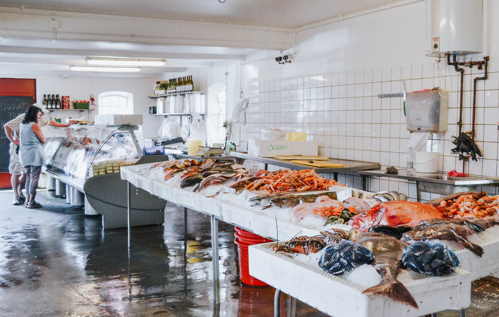 Feriehuse - Sjællands Odde , Danmark - E18338 26