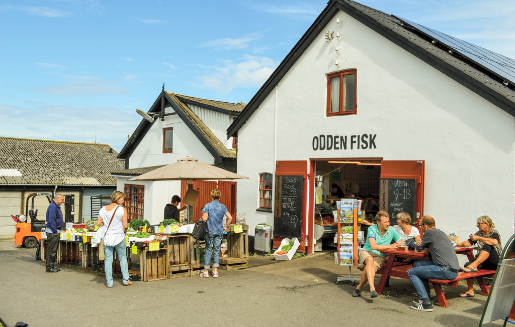 Ferienhaus - Overby Lyng , Dänemark - E18233 28