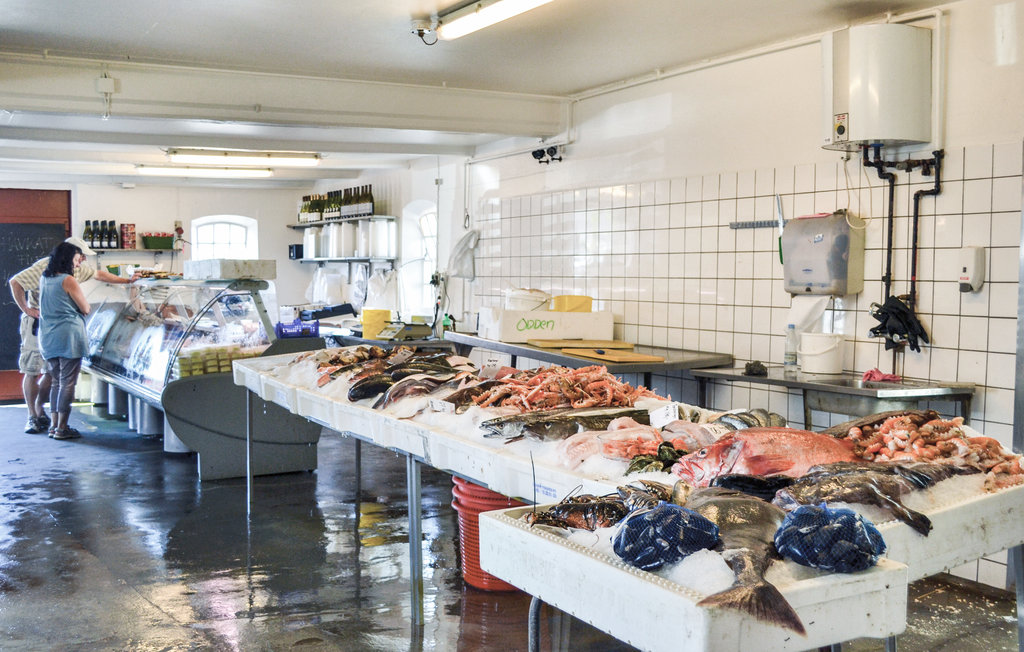 Feriehuse - Sj.Odde , Danmark - E18313 30