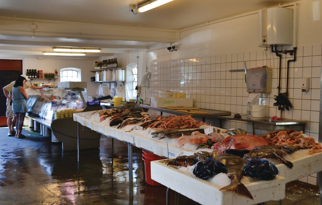 Feriehuse - Tengslemark Lyng , Danmark - E18717 24