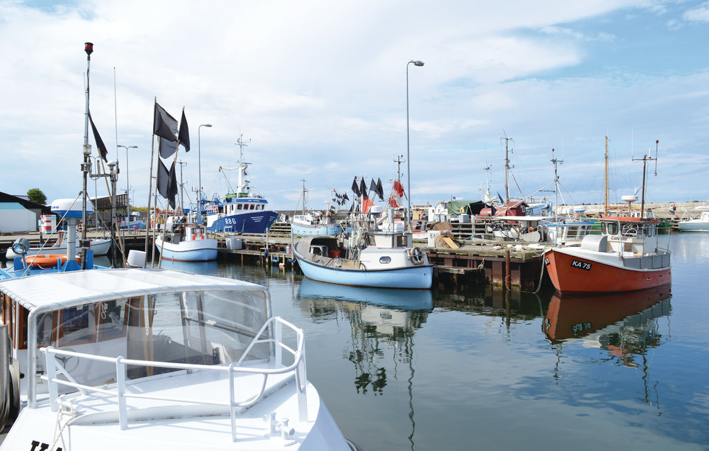 Feriehuse - Tengslemark Lyng , Danmark - E18744 36