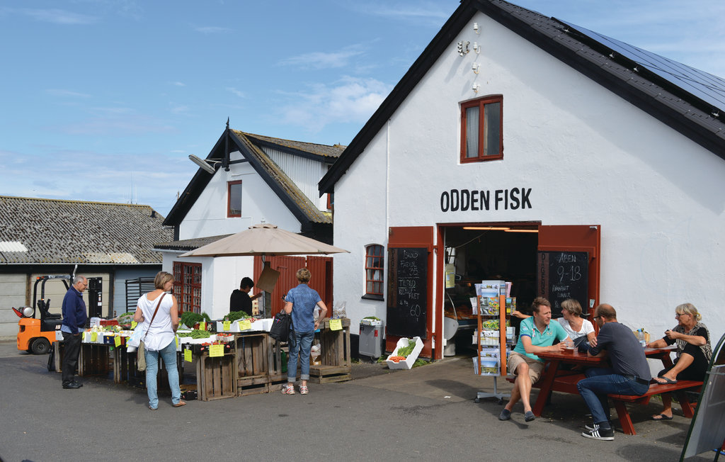 Feriehuse - Tengslemark Lyng , Danmark - E18775 25