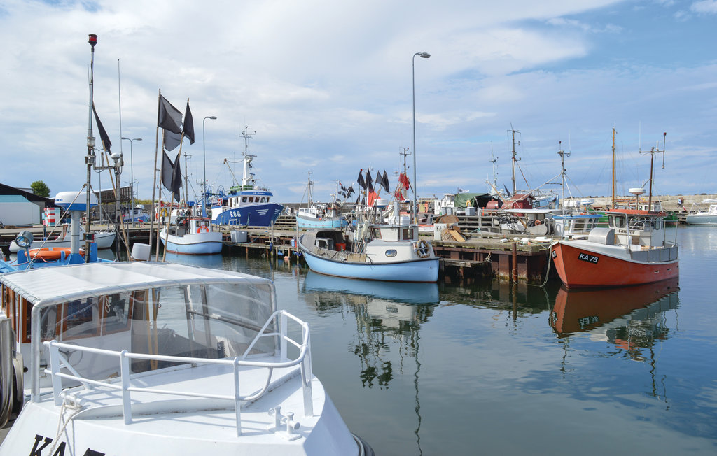 Feriehuse - Tengslemark Lyng , Danmark - E18775 21