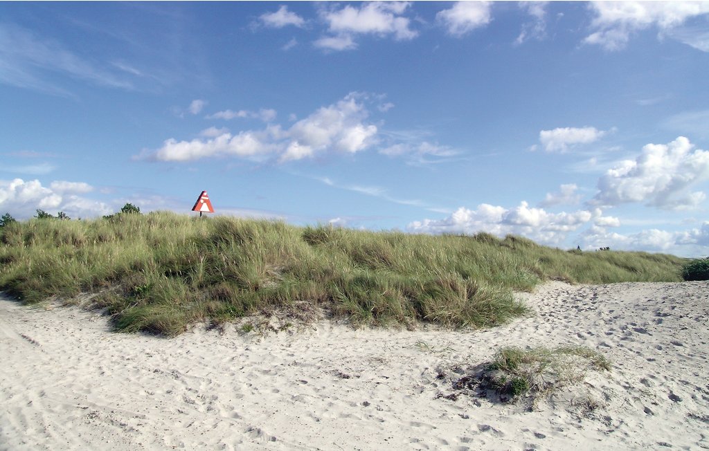 Feriehuse - Tengslemark Lyng Strand , Danmark - E18755 27
