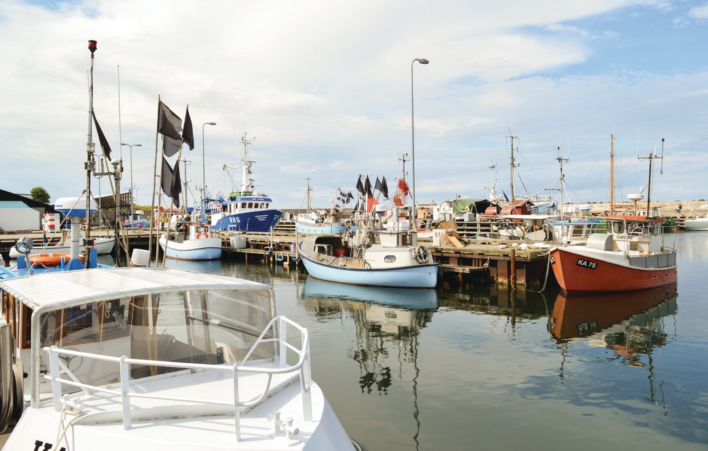 Feriehuse - Tengslemark Lyng , Danmark - E18717 19