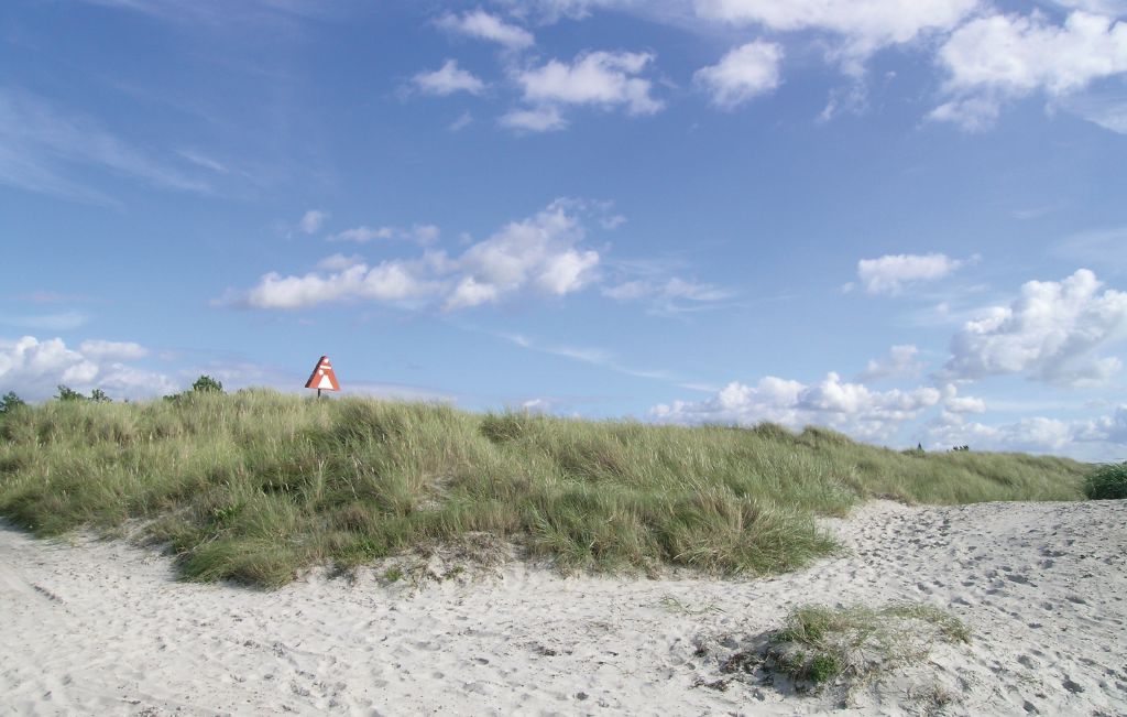 Feriehuse - Tengslemark Lyng , Danmark - E18744 35