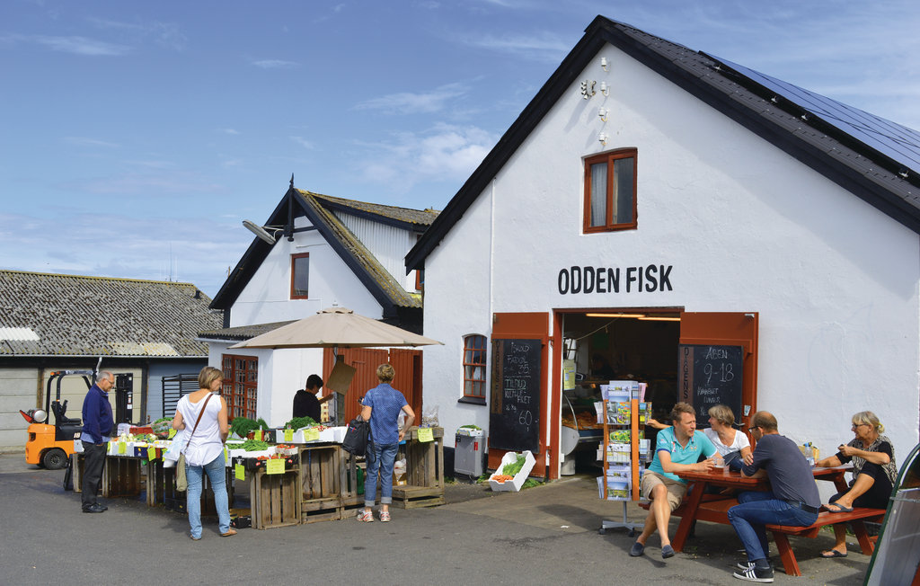 Feriehus - Sj.Odde , Danmark - E18342 23