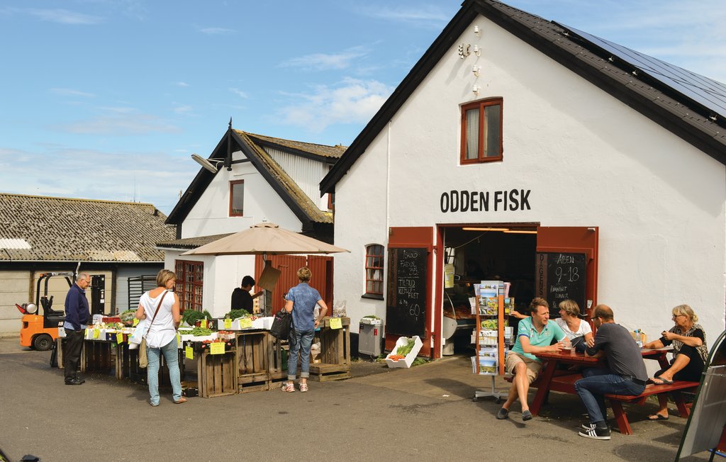 Feriehuse - Tengslemark Lyng , Danmark - E18717 23