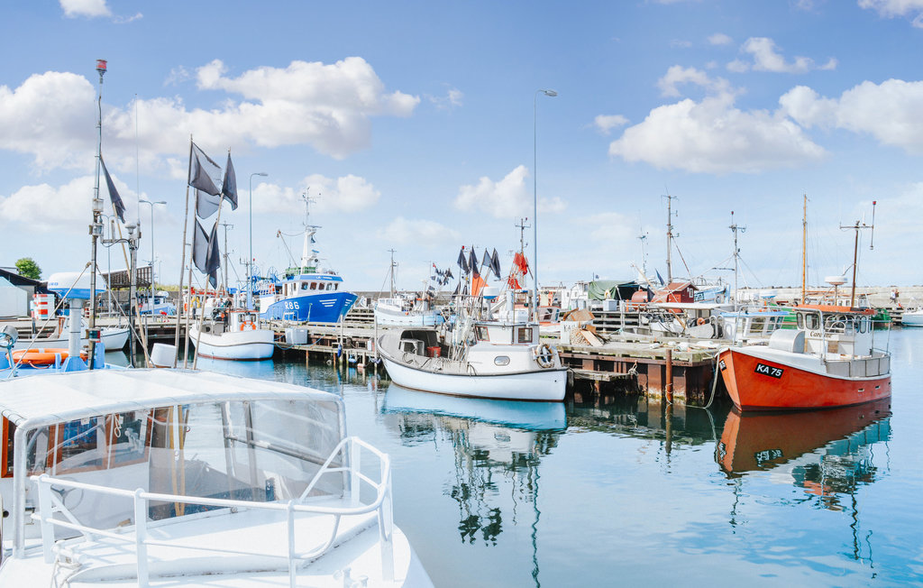 Feriehuse - Overby Lyng , Danmark - E18311 20