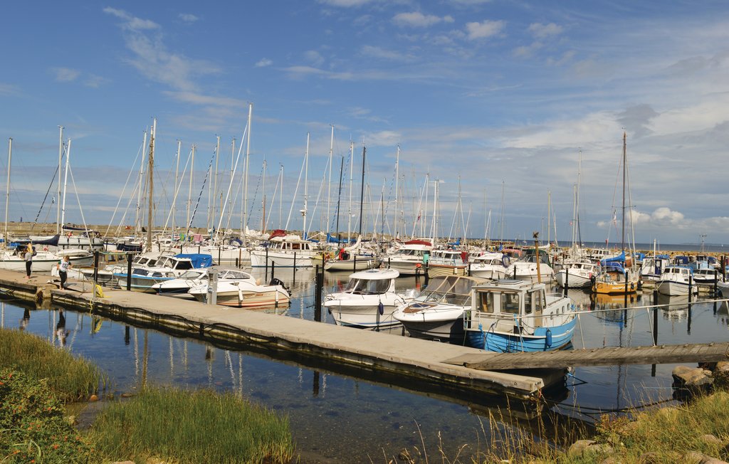 Feriehuse - Tengslemark Lyng , Danmark - E18717 20