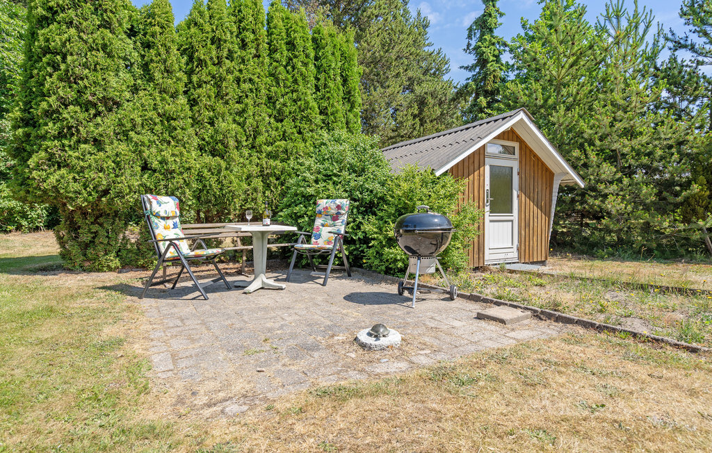 Feriehuse - Tengslemark Lyng , Danmark - E18717 9