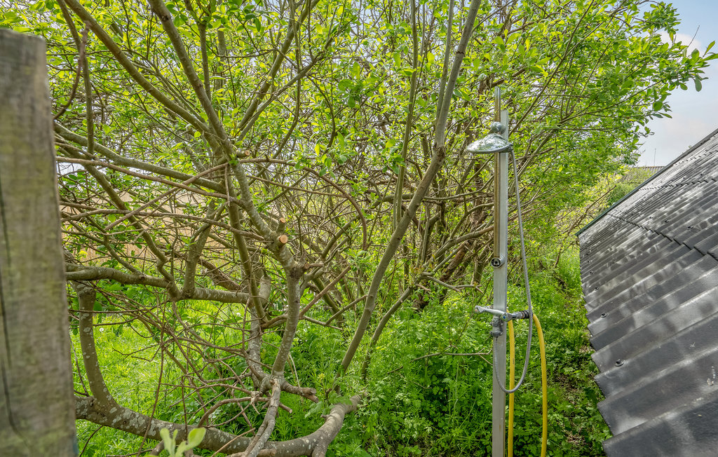 Feriehuse - Sjællands Odde , Danmark - E18338 13