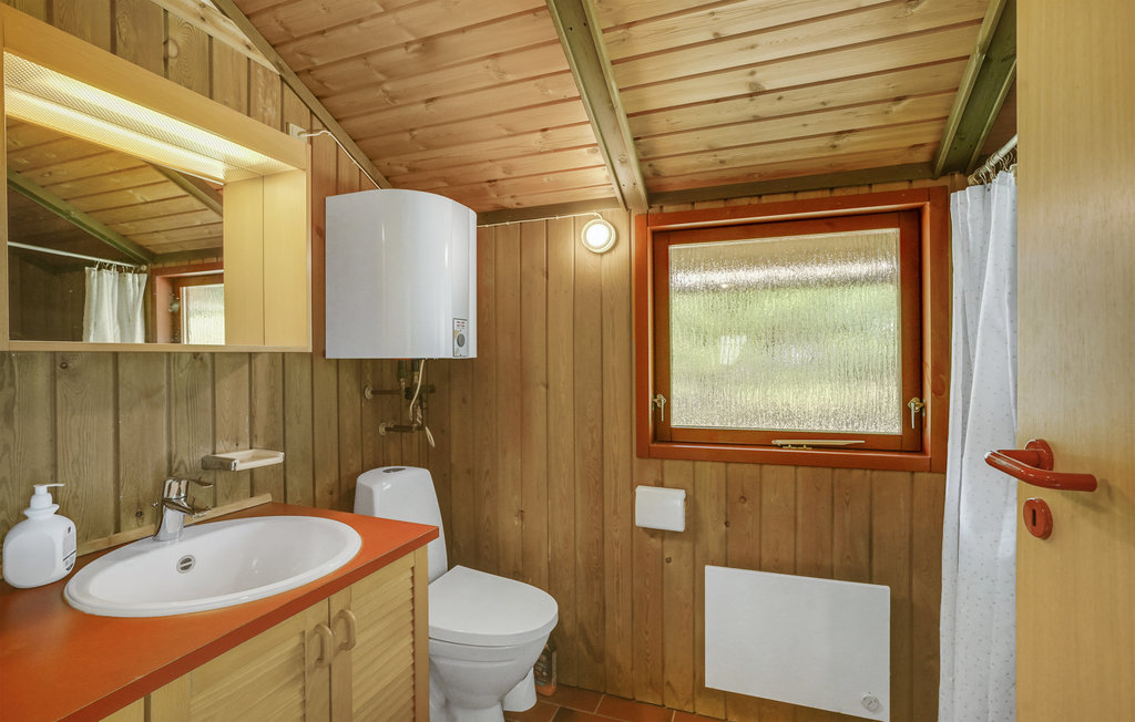 Feriehuse - Tengslemark Lyng , Danmark - E18717 17