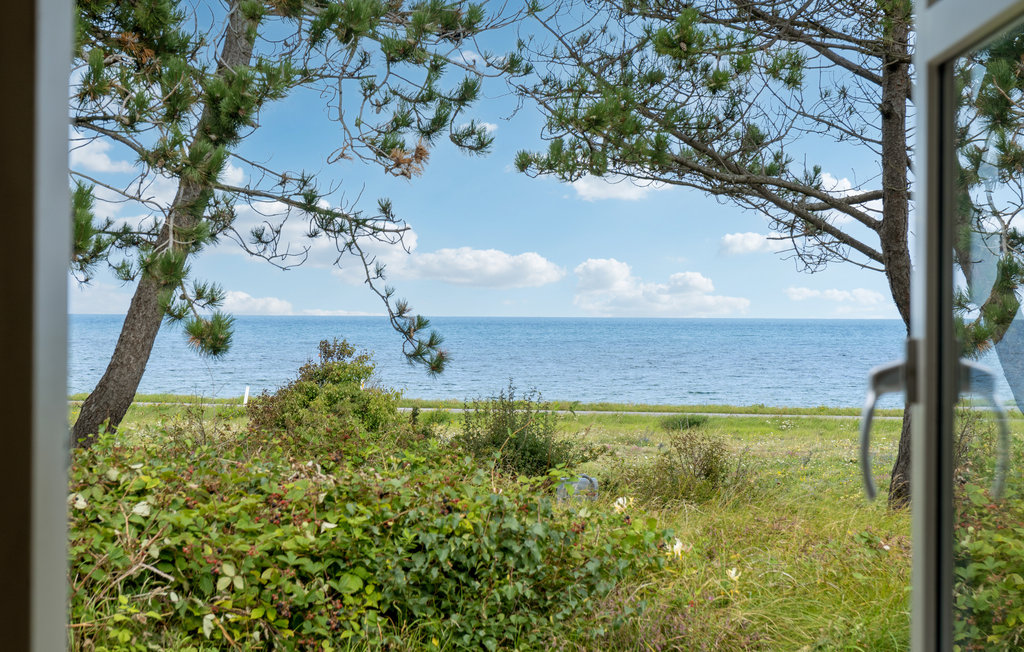 Feriehuse - Overby Lyng , Danmark - E18219 18