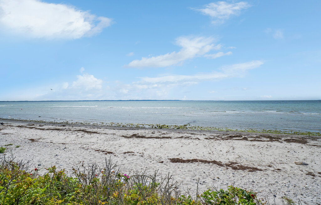 Ferienhaus - Ebbeløkke Strand , Dänemark - E18075 26