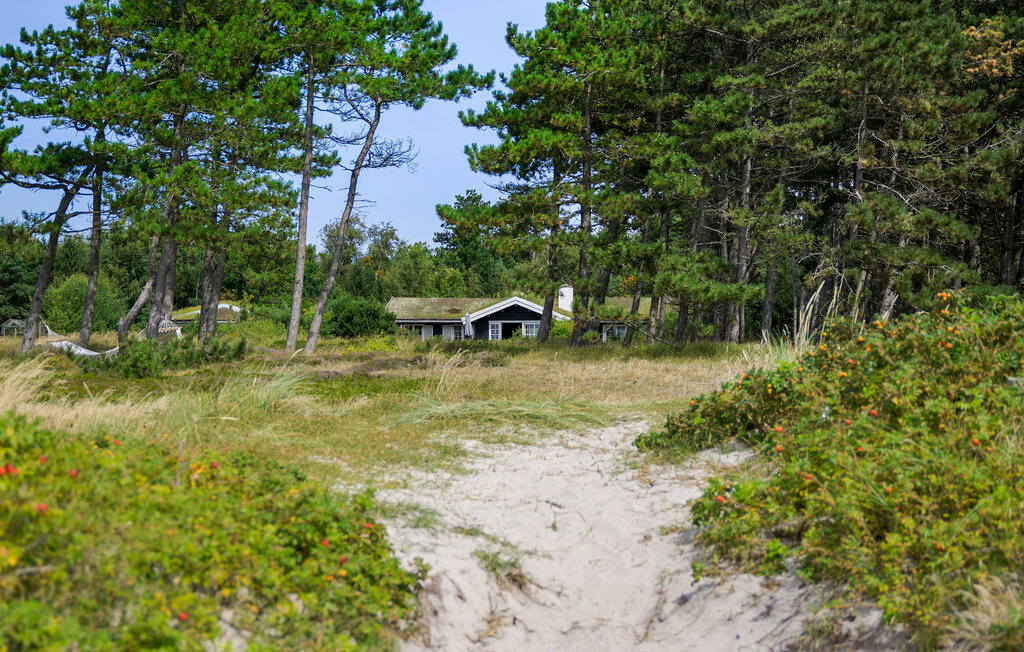 Ferienhaus - Ebbeløkke Strand , Dänemark - E18075 16