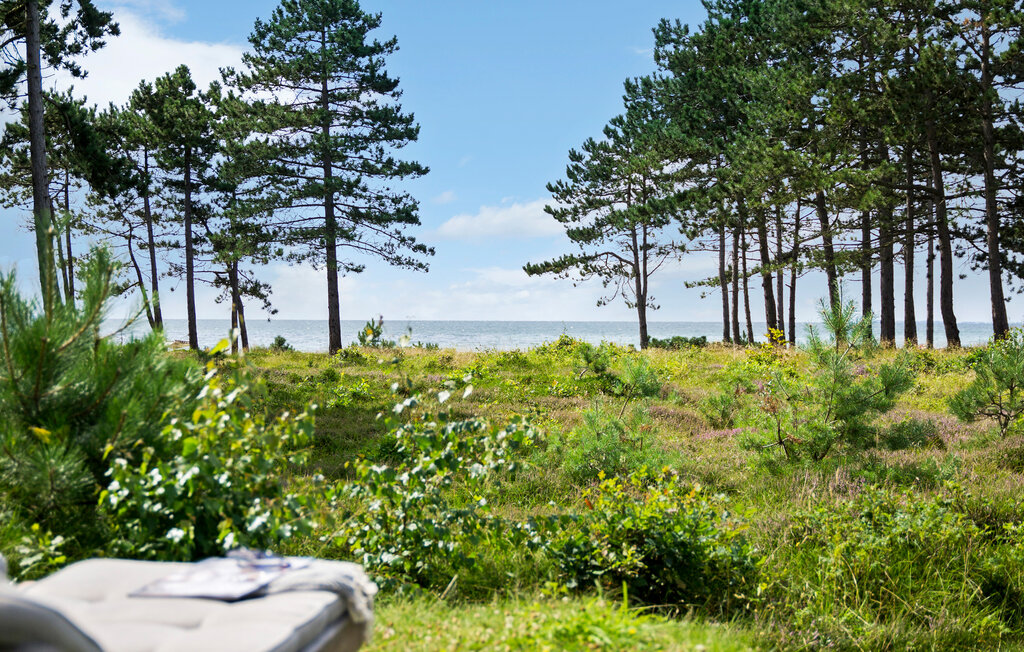 Ferienhaus - Ebbeløkke Strand , Dänemark - E18075 17