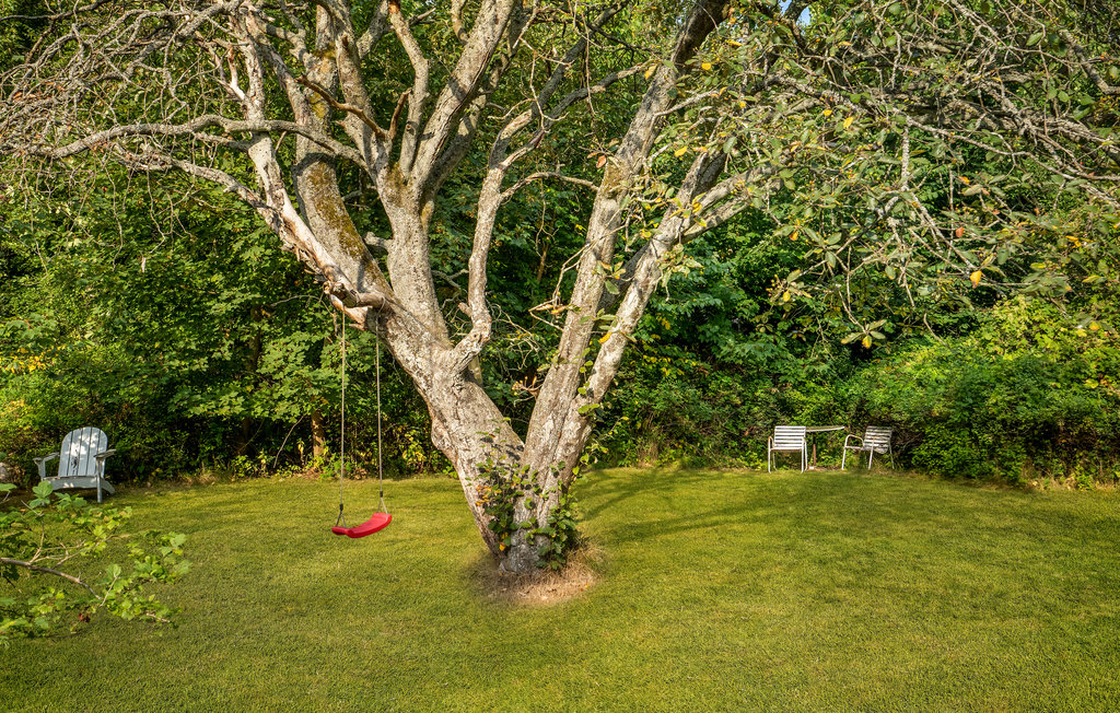 Ferienhaus - Ellinge Lyng , Dänemark - E19749 16