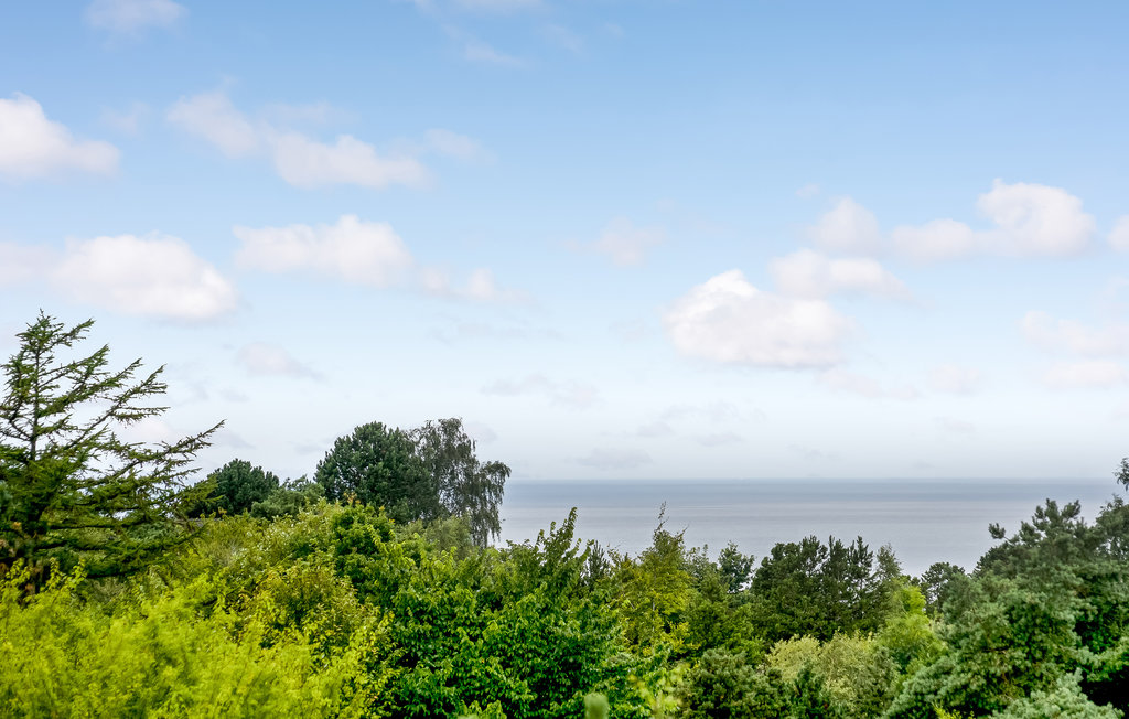 Ferienhaeuser - Veddinge Bakker , Dänemark - E19079 18