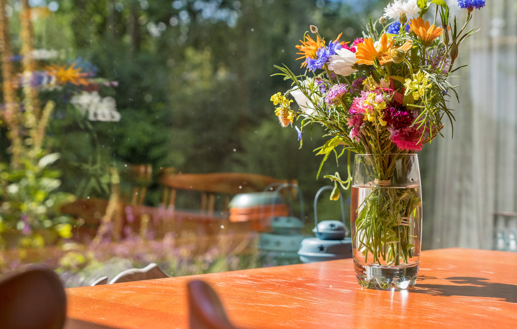 Feriehuse - Hønsinge Lyng , Danmark - E19237 12