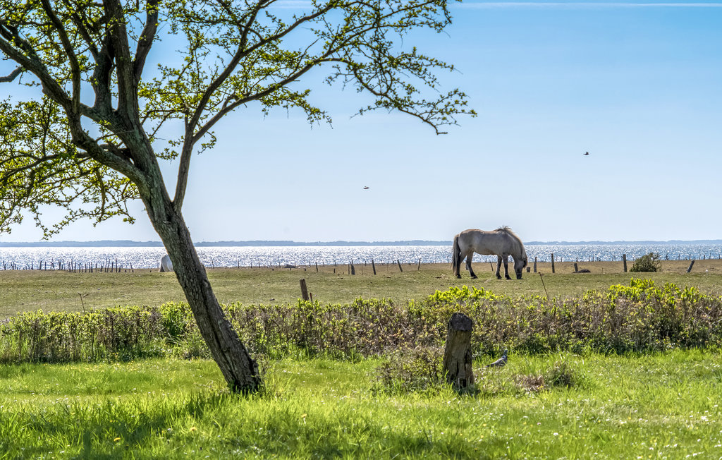 Feriehuse - Sejerø , Danmark - E19151 28