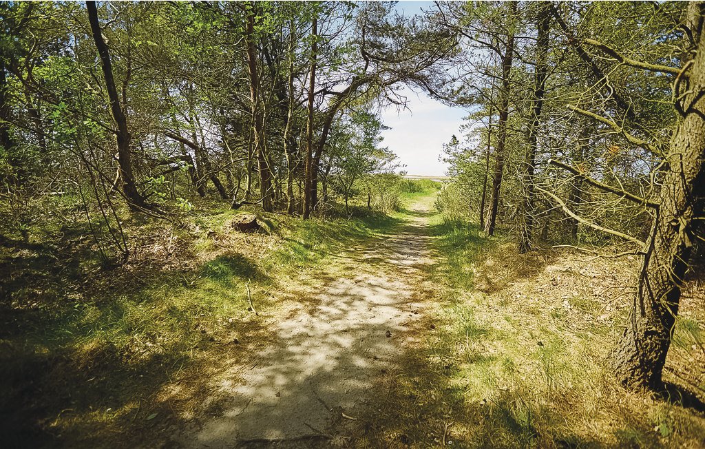 Feriehuse - Ellinge Lyng , Danmark - E19612 26