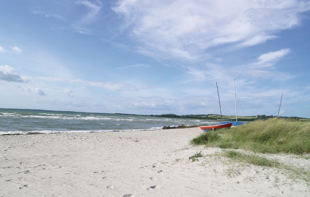 Feriehuse - Tengslemark Lyng , Danmark - E19836 26