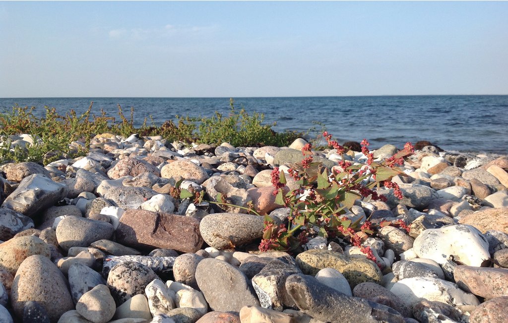 Feriehuse - Sejerø , Danmark - E19151 20