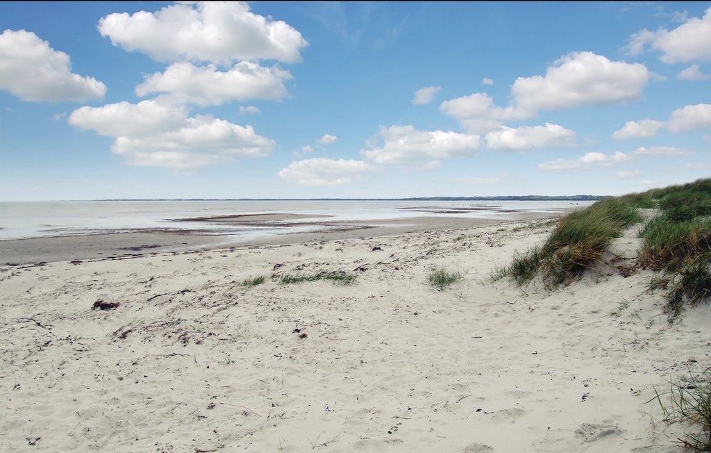 Ferienhaus - Ellinge Lyng , Dänemark - E19544 29