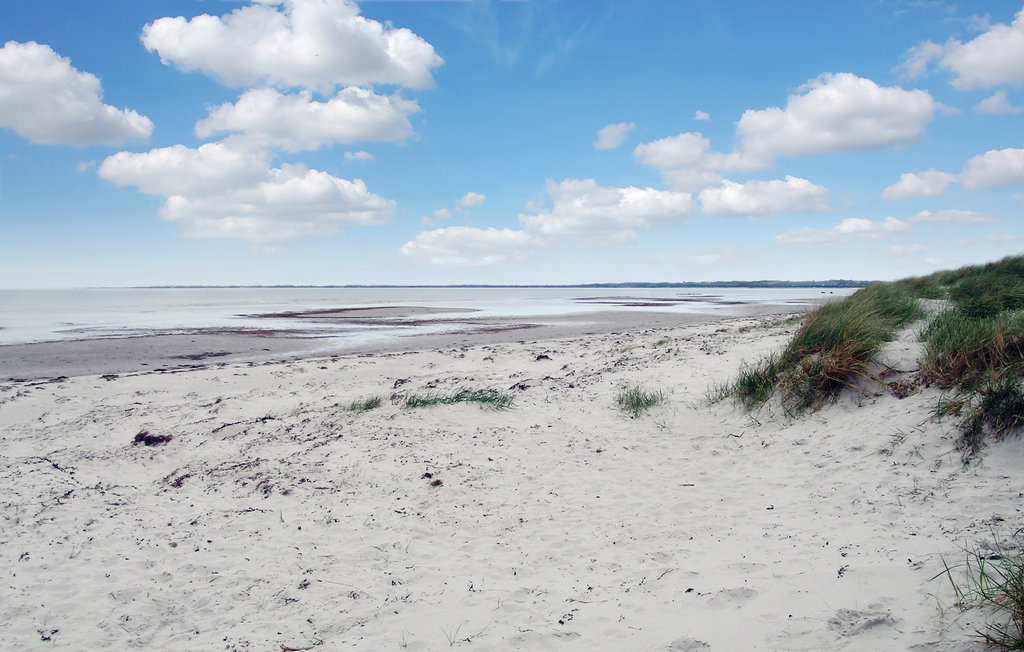 Feriehuse - Ellinge Lyng , Danmark - E19503 30