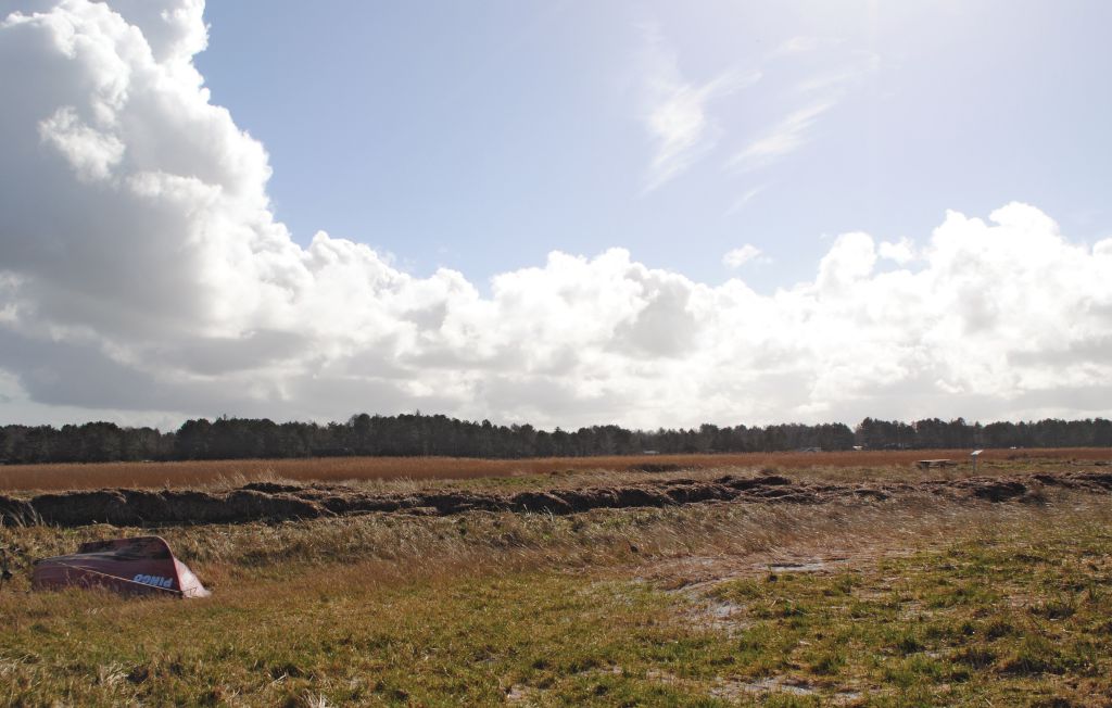 Ferienhaus - Ellinge Lyng , Dänemark - E19638 25