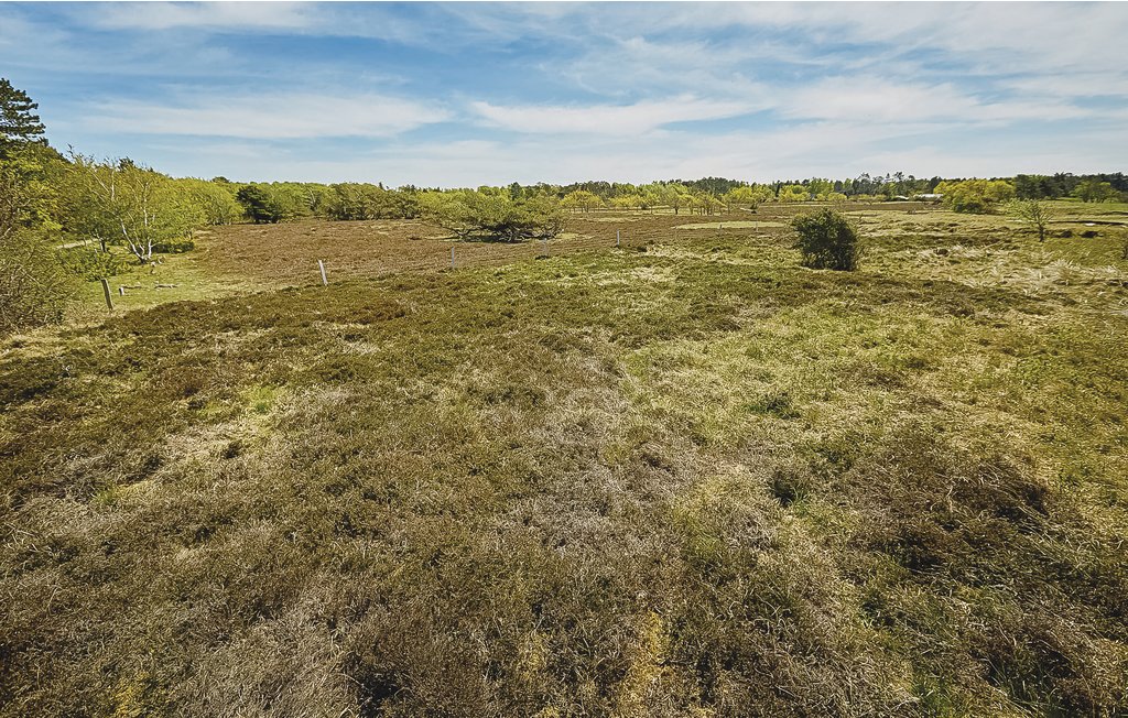 Feriehuse - Ellinge Lyng , Danmark - E19612 27