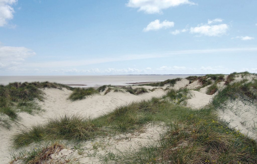 Ferienhaus - Ellinge Lyng , Dänemark - E19544 30