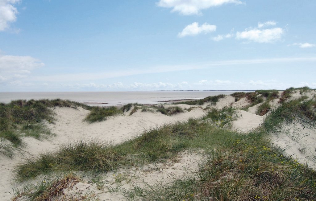 Feriehuse - Ellinge Lyng , Danmark - E19735 22