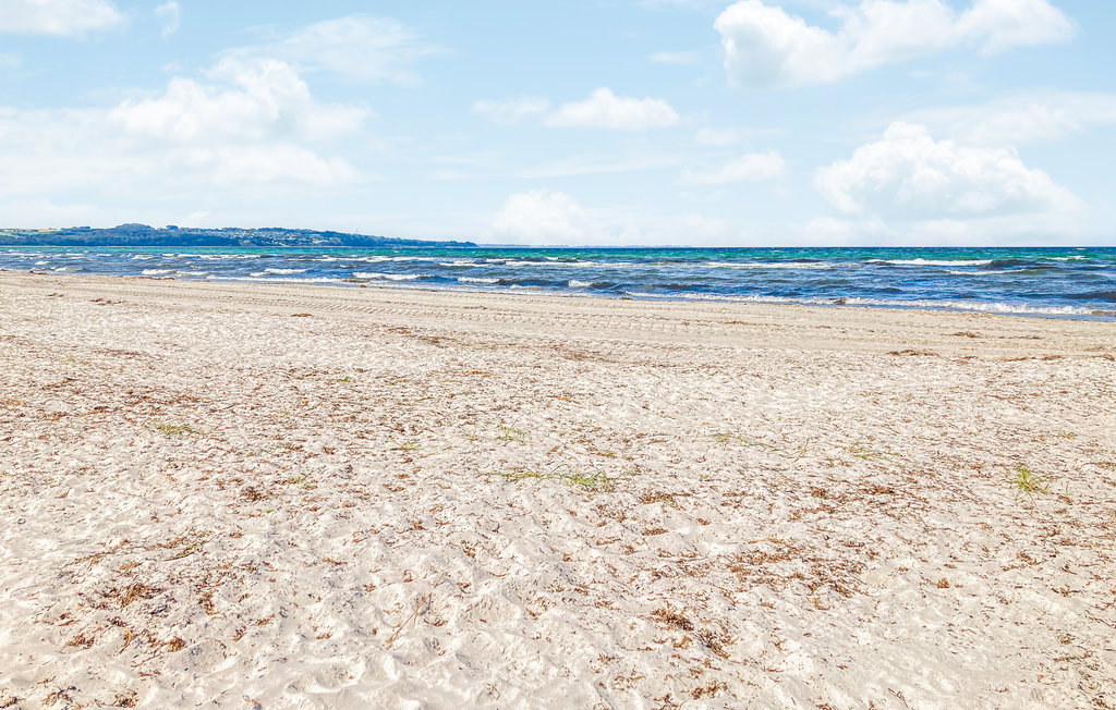 Ferienhaus - Ellinge Lyng , Dänemark - E19458 25