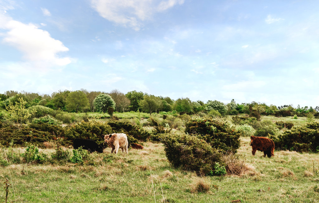 Ferienhaus - Havnsø Strand , Dänemark - E19193 37