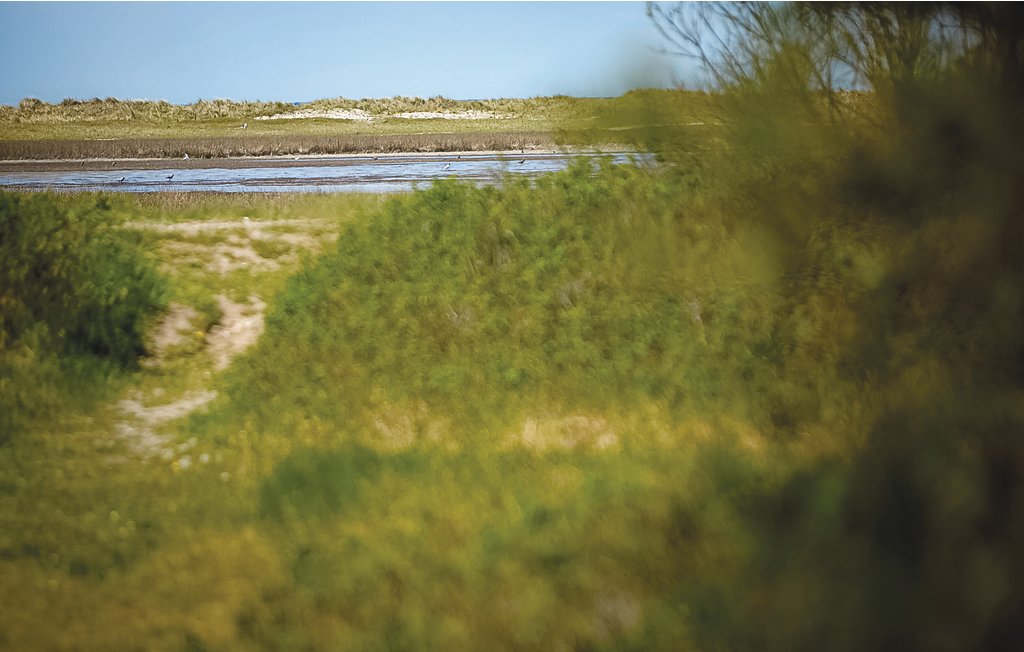 Feriehuse - Ellinge Lyng , Danmark - E19612 28