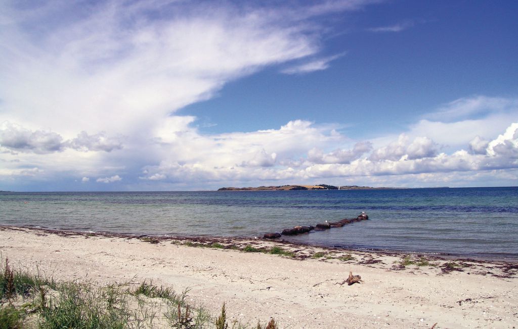 Ferienhaus - Havnsø Strand , Dänemark - E19126 17