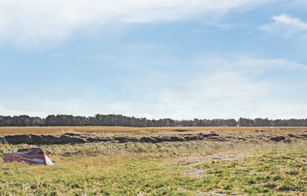 Feriehus - Ellinge Lyng , Danmark - E19774 28