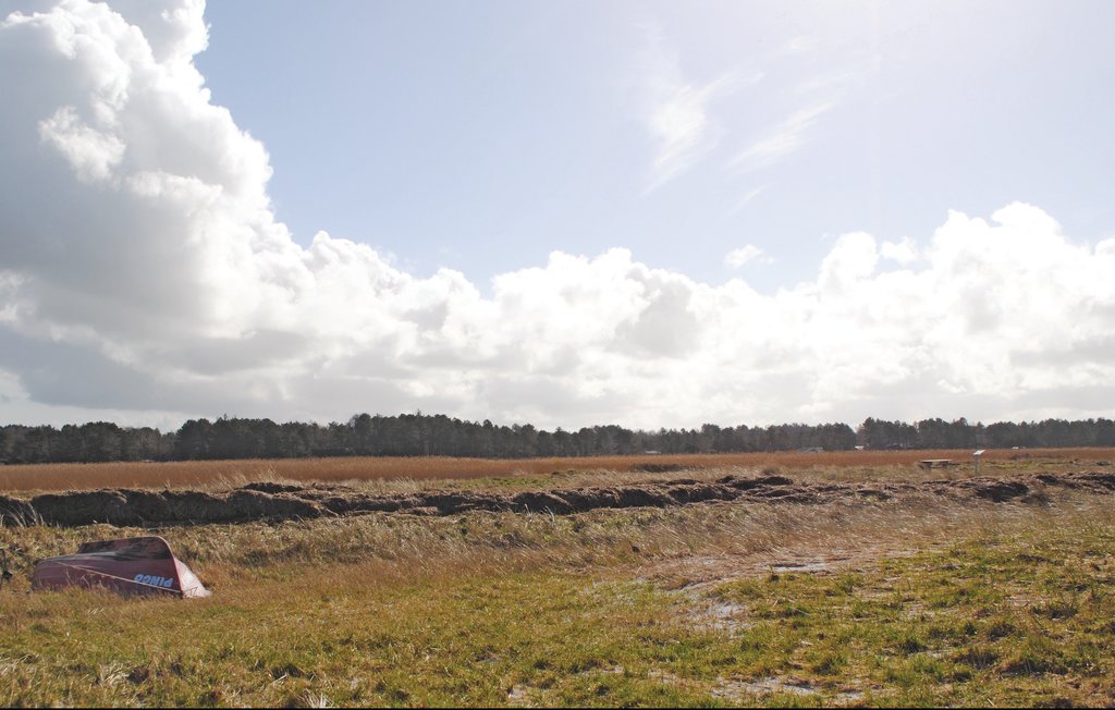 Feriehuse - Højby Lyng , Danmark - E19831 15