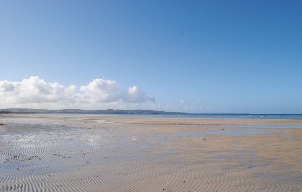 Ferienhaus - Ellinge Lyng , Dänemark - E19638 24