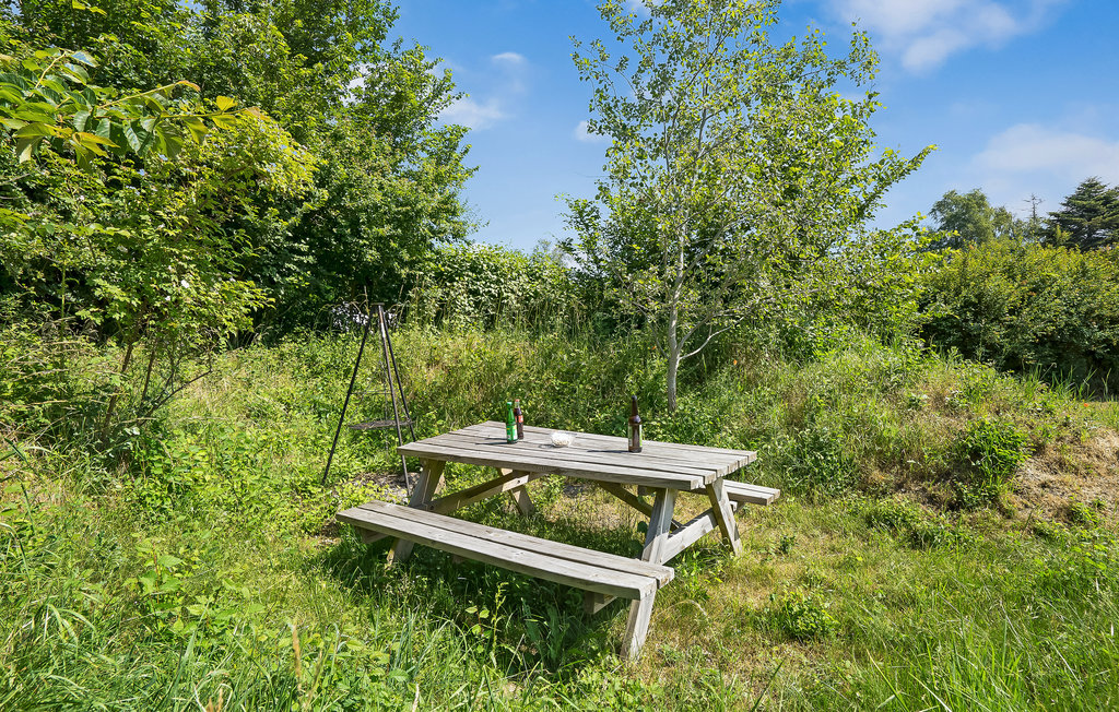 Feriehuse - Ellinge Lyng , Danmark - E19718 19