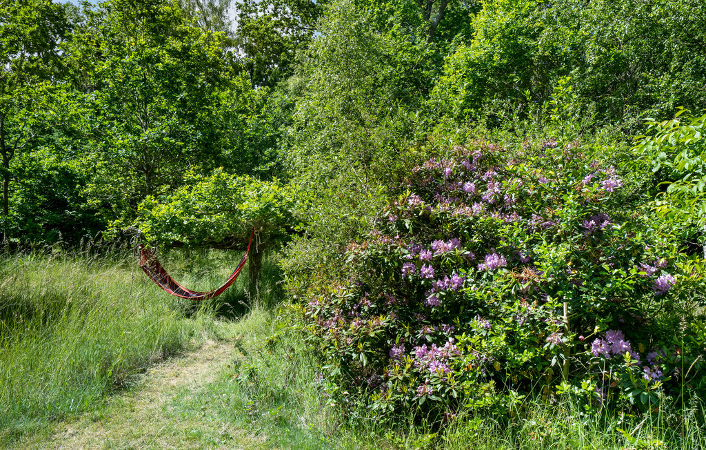 Ferienhaus - Ordrup , Dänemark - E19181 13