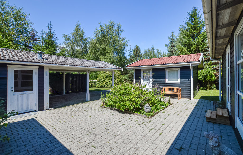 Feriehuse - Ellinge Lyng , Danmark - E19503 12