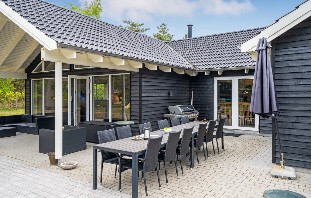 Ferienhaus - Vig Lyng , Dänemark - E19442 19