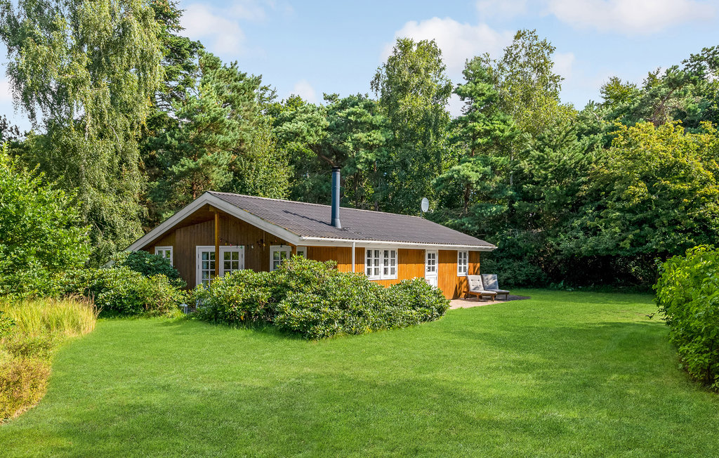 Feriehuse - Tengslemark Lyng , Danmark - E19836 13