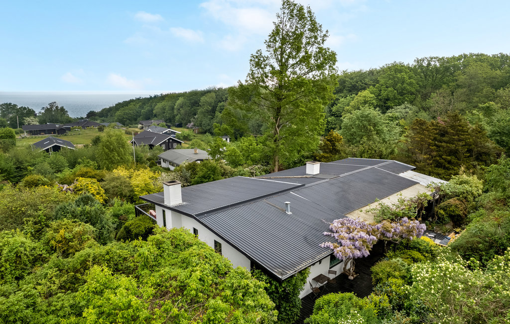 Feriehuse - Veddinge Bakker , Danmark - E19084 9